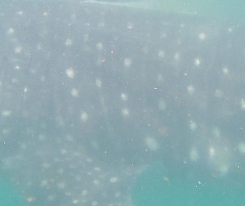 3efbed31-b57c-4ebf-be5f-60a729219c36