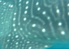 bf1cf70f-0245-40a4-ab73-5299372f53f8