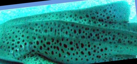 db2009bf-c9c3-46bb-a7df-2ded420c5339