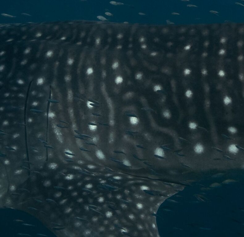 ac9d75b5-98e3-4421-81d5-1bcd0f9c9390