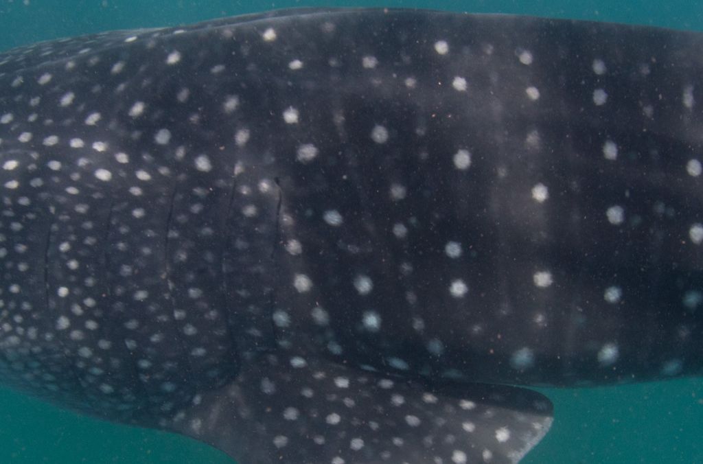 83ab8e3e-141e-461a-80d9-1c6b5503d291