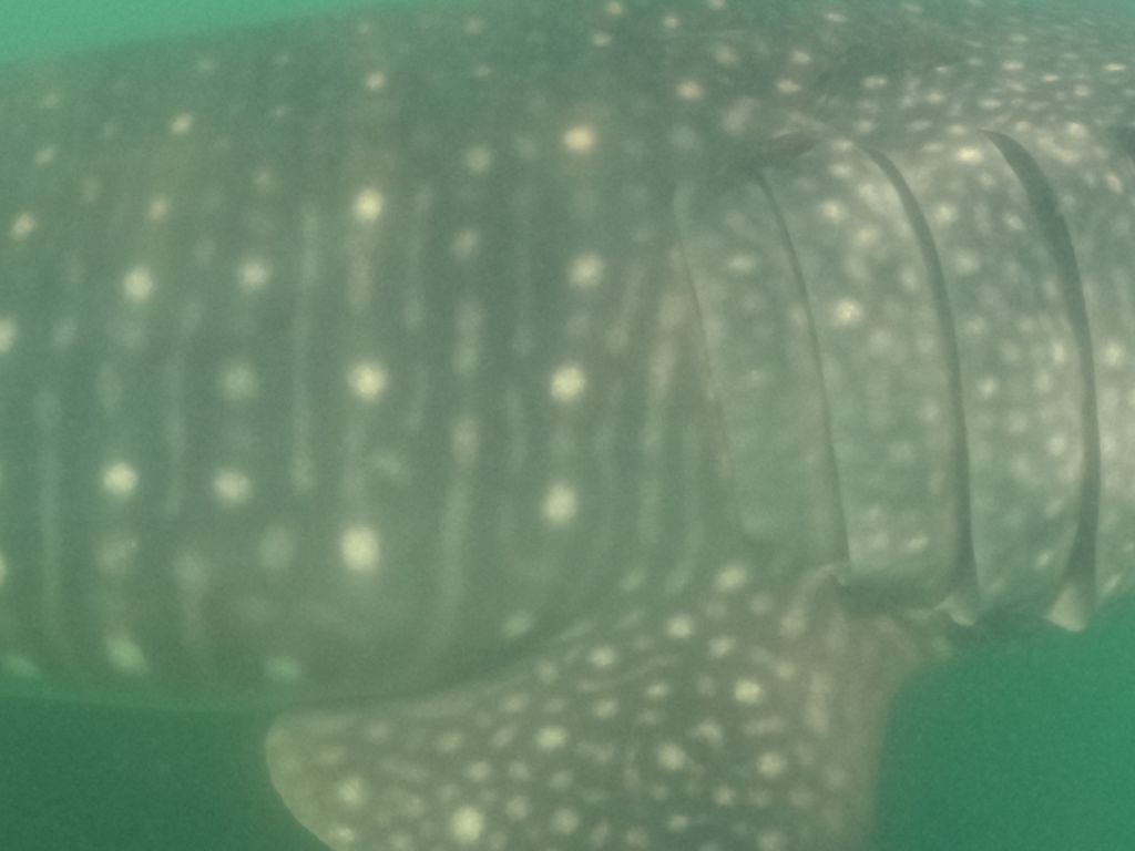 6cb2f88c-0309-495f-9c10-ca4ec5a1200d