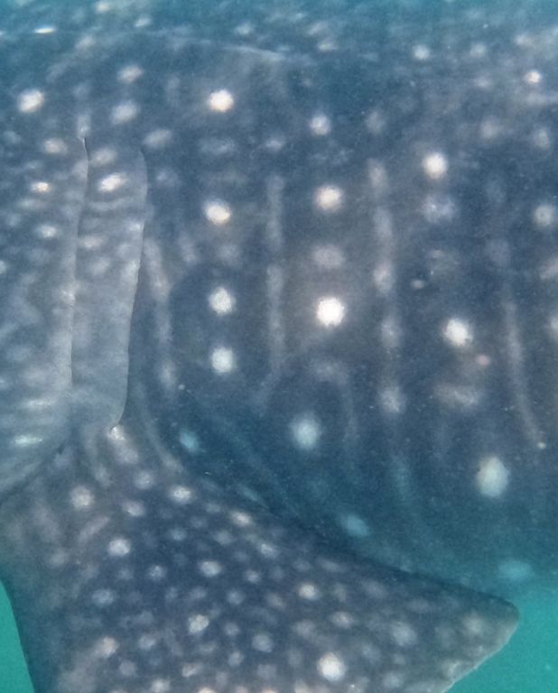 6cb2f88c-0309-495f-9c10-ca4ec5a1200d