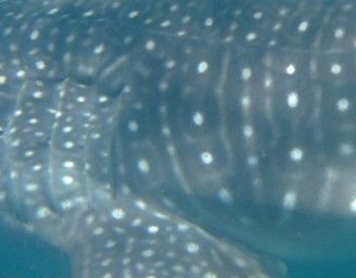 cc884c45-0a36-40b3-b89f-24c942a020e2