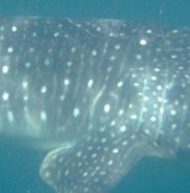 cc884c45-0a36-40b3-b89f-24c942a020e2