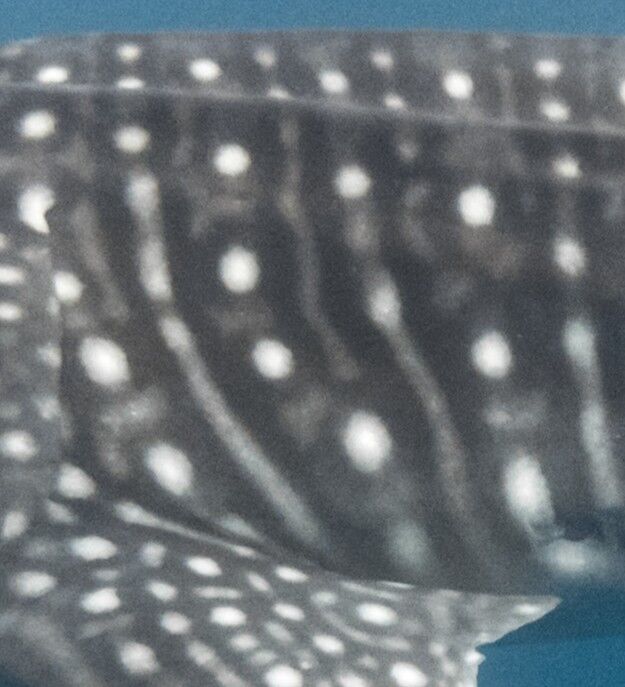 58f40b25-7269-4e8f-b6bf-8bd9a0629066