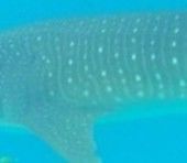 a74db7ff-3b66-4e09-970a-631f08c62cfa