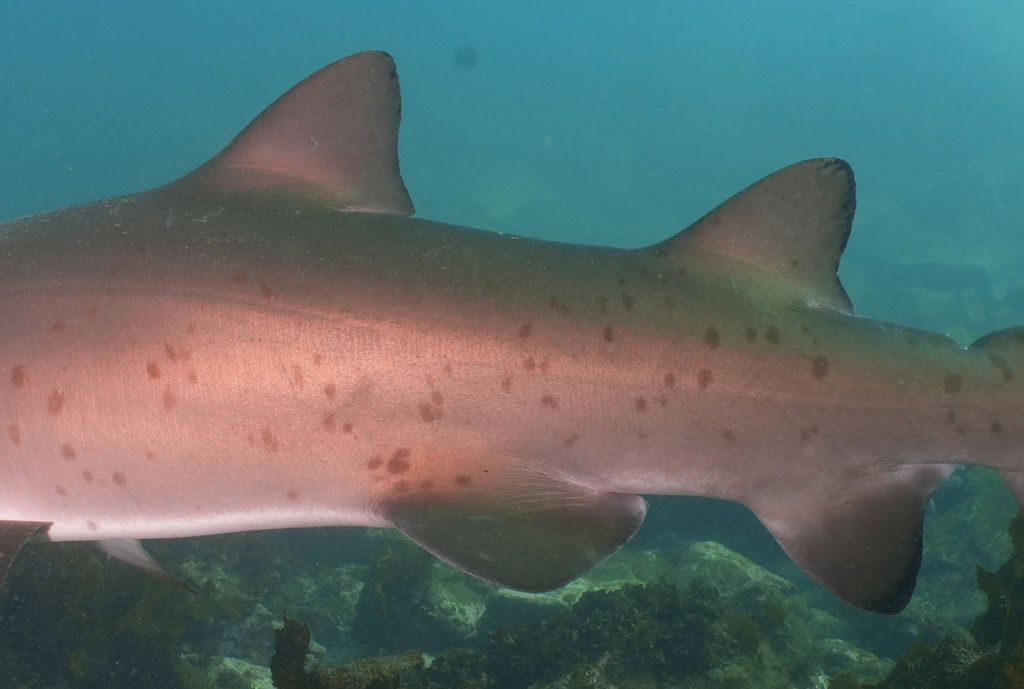 6402c64b-fd64-4145-b150-a9c43e9cc894