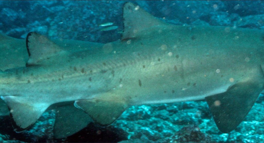 a8be17a1-ea7e-4ce3-adb5-5fb3796172f9