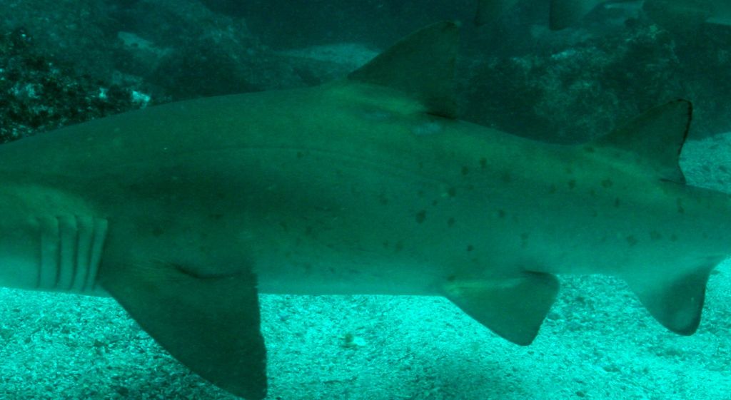 a8be17a1-ea7e-4ce3-adb5-5fb3796172f9