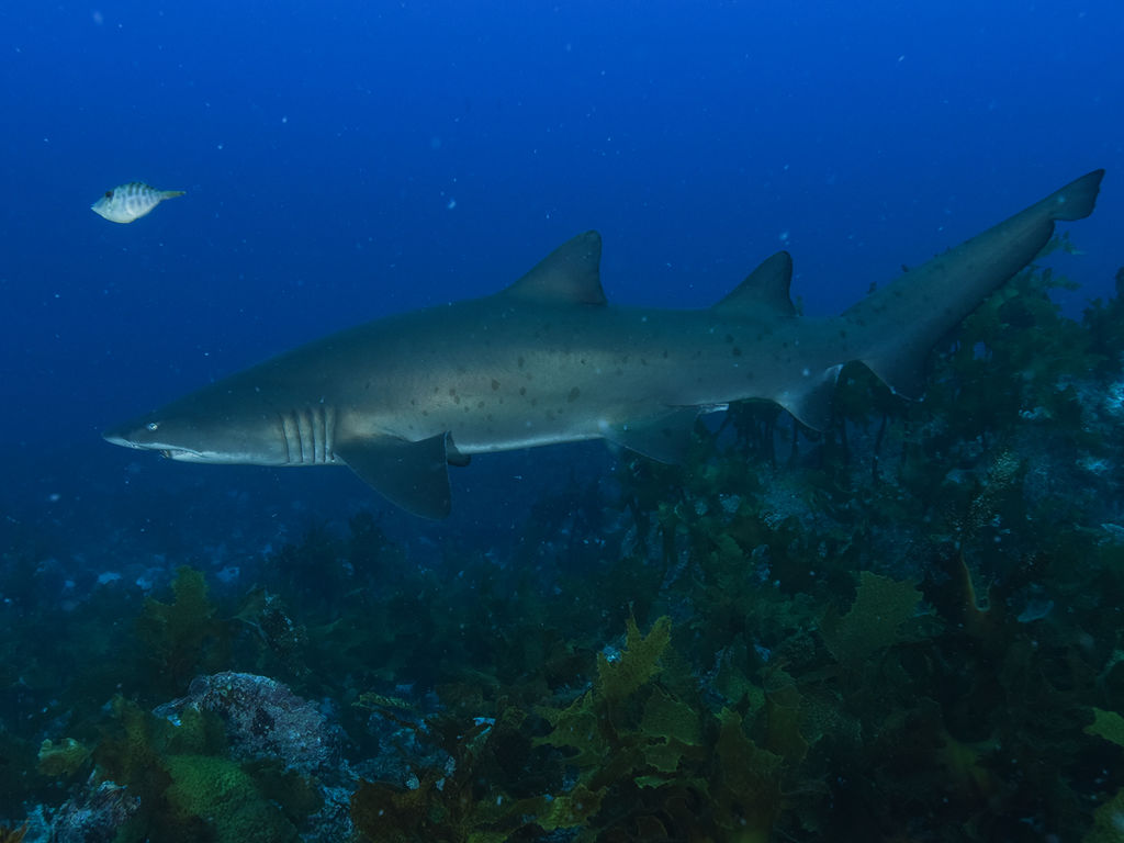 018911b0-73d8-4aa5-8a27-fedbfc544aab