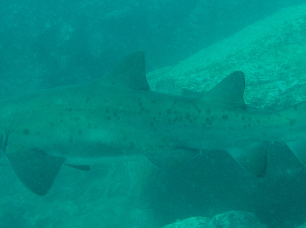 60720573-2548-4df3-a36d-a76efec24685