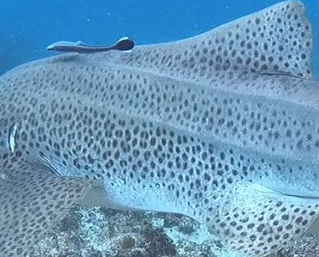 d58b0845-ad37-49ce-9310-b6304a74bc4a