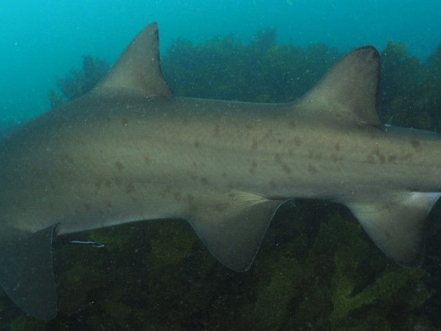 c5441c8a-382e-4889-a630-faa076ba36b2