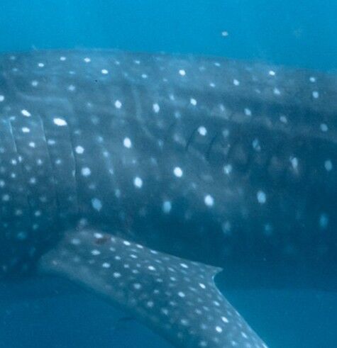 e5d645ab-25d3-410e-9cb5-11a030ada943