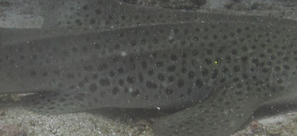 0ae70274-7aba-465c-a89c-11f5c6167af4