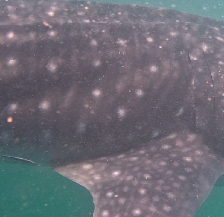 978b5347-4907-4a92-b83e-53733d693b89