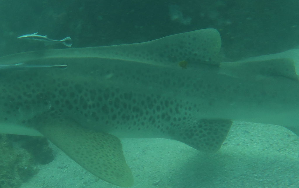 17befe67-f54f-4d05-9b7f-53289b57c187