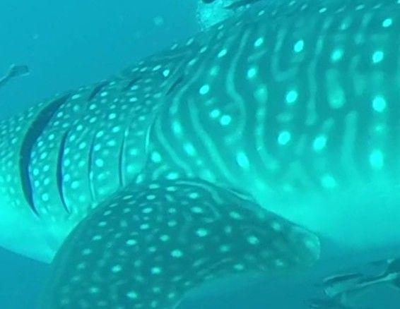 8fc39202-c387-4309-9a70-cc07d5106c1d