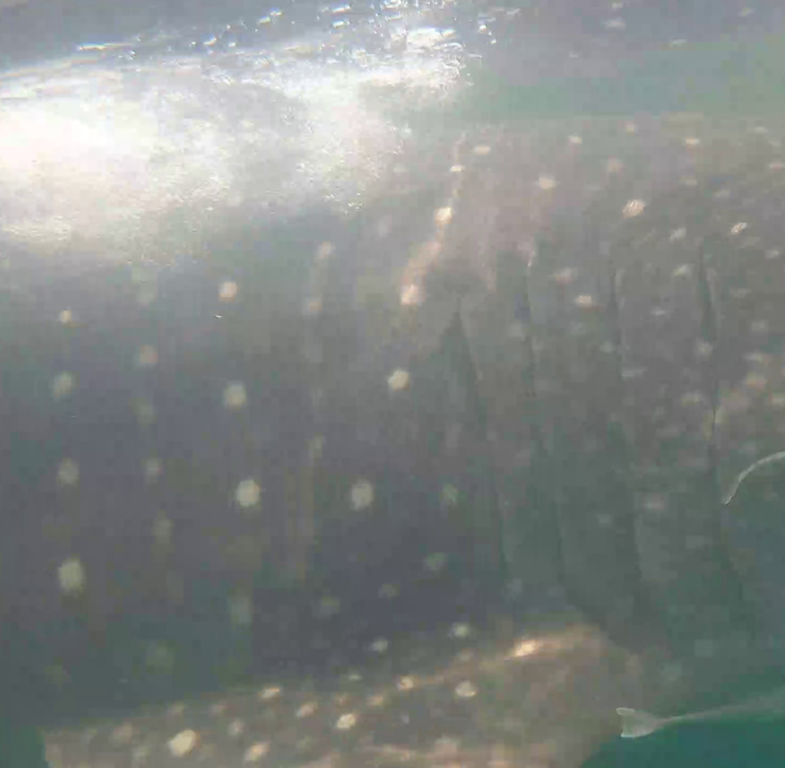 0af25041-d986-4e96-a2e0-4e647806cd55