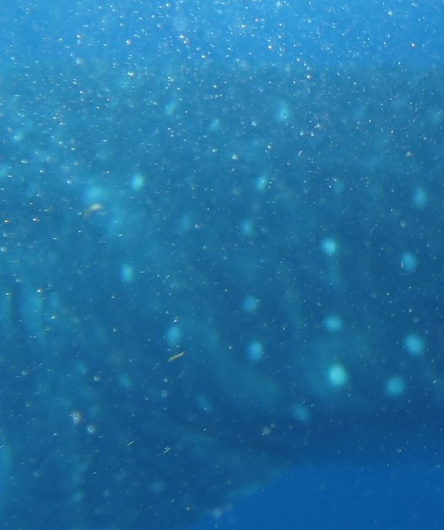 e6e28140-4637-44d7-8803-ff07c8ed91fa