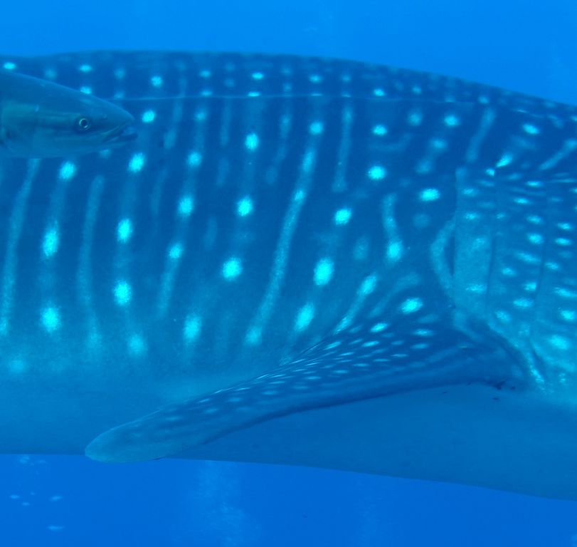 54d1d491-45fd-4e37-8586-eaad95328edb