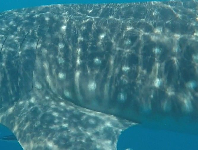 d0d26b8b-c23e-47ac-a6c3-16f784a822cb