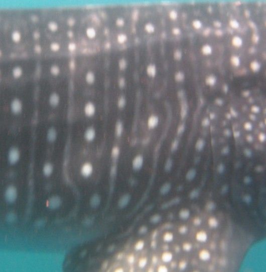 c80eaafa-7d63-4397-812a-b24f5ea5a693