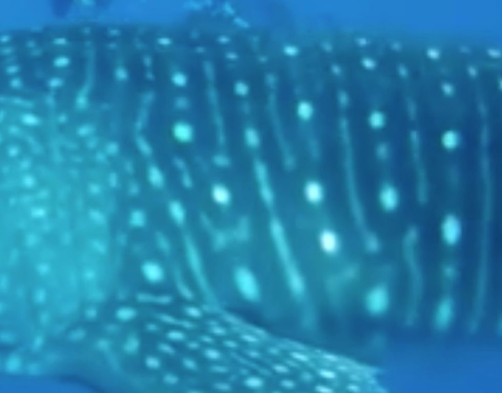 a156cdf9-818a-4f3d-981b-b5dc25d30783