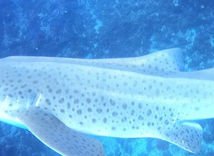 c9420929-3b19-43ae-b547-5540040499ed