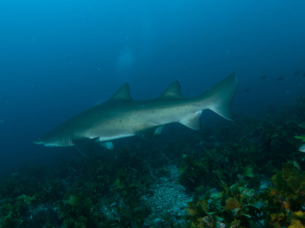 8a54b576-9547-4d5d-ba35-6d9643e0eeae