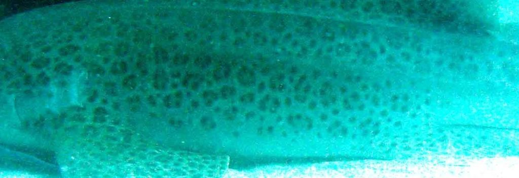 558e8464-ca8a-49a7-b466-722a8e1e2e12