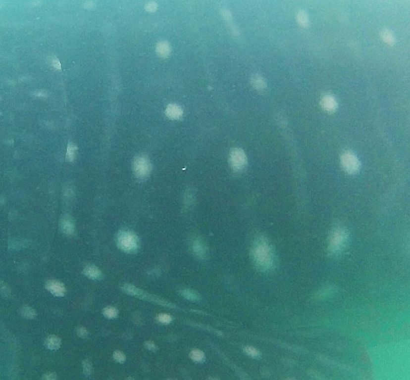 0eab58c0-555a-4755-89da-c3d5e22d6af0