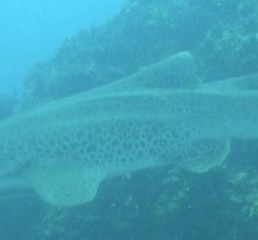 c56d9c8c-99a1-420c-9679-04870ed44d59