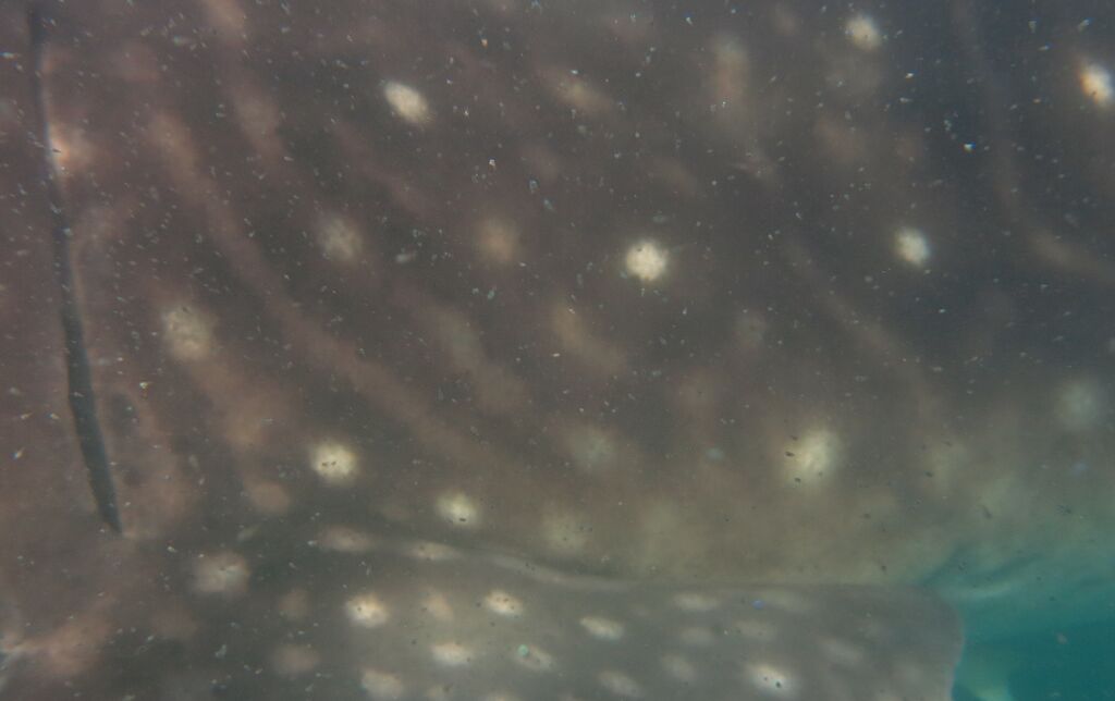 b76760e2-6c82-4673-b7fc-297105c79be6