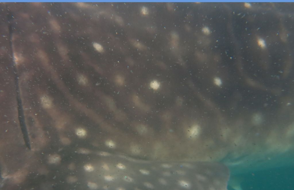 b76760e2-6c82-4673-b7fc-297105c79be6