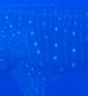 5ff81b30-4349-42f0-bdaa-7a3ba2515c83