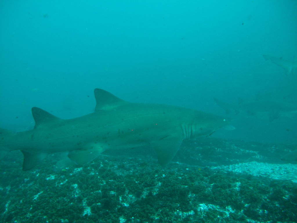 08e4569e-cd47-4159-9cc8-0c7307adb8cb