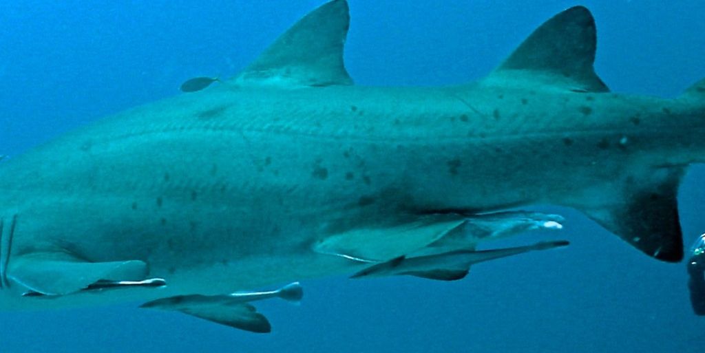 dd8382ec-b9cf-4ebf-92cc-5e4af1ed9d62