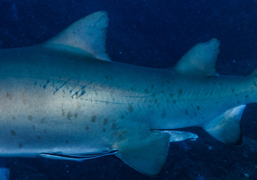 e2b0c95f-af13-478d-a864-b9a9a34bb89d