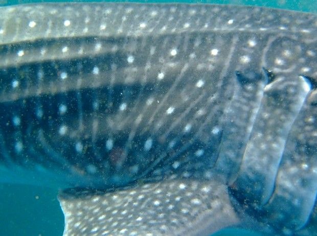 2142c97c-fbf0-4f8b-a708-0a090e0cb94c