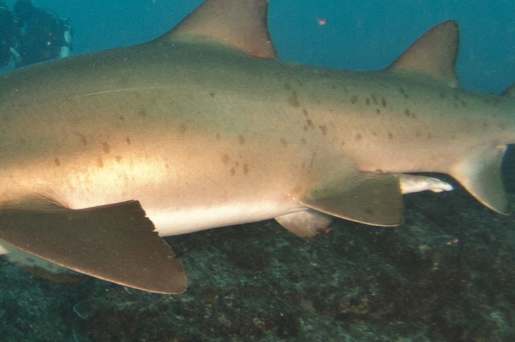 5a566b71-ffb4-41f8-ad7a-c0b2eeafacbd