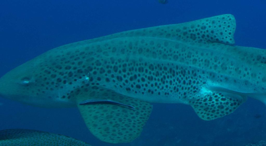 def160d5-53cc-4c7c-95cd-6ca48154bae2