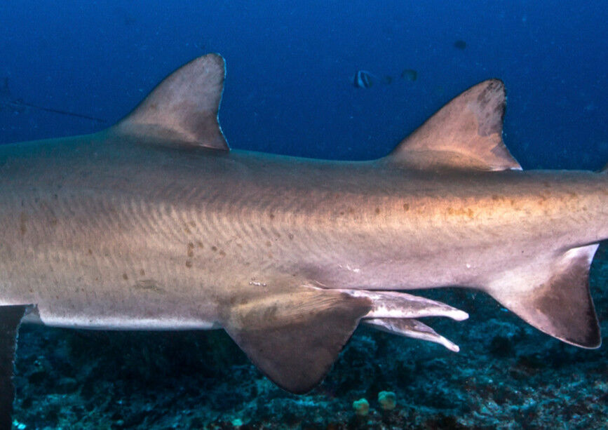 cecde9d4-6c6b-433f-9f8d-090fdf5f9548