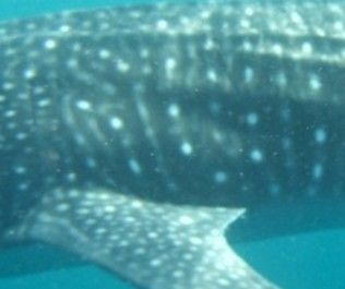 99e7b111-8f9d-42ae-bf86-b9fd3b8f7875