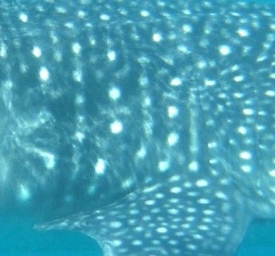 99e7b111-8f9d-42ae-bf86-b9fd3b8f7875