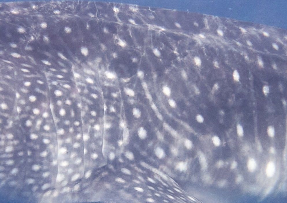 f5d06967-2d39-4189-a4cc-f7a6eba2c34c