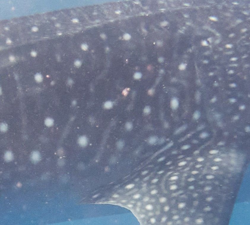 f5d06967-2d39-4189-a4cc-f7a6eba2c34c