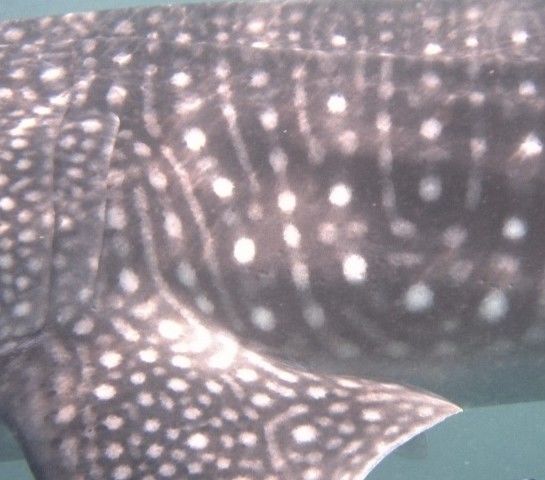 8c3de77e-78f9-4b95-bce9-b525998b1d5e