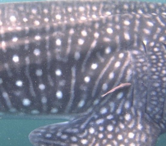 8c3de77e-78f9-4b95-bce9-b525998b1d5e